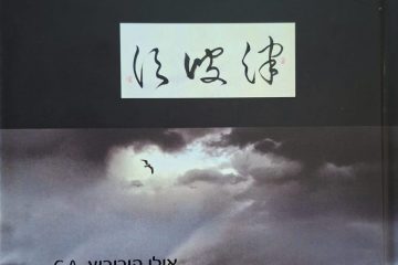 אחרי הצונאמי